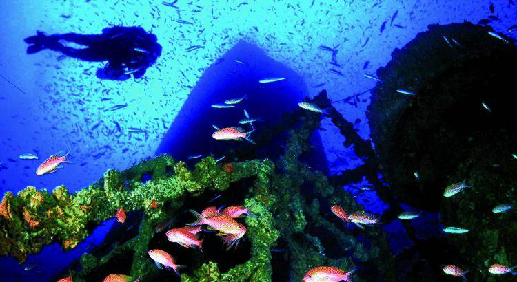 Palestra in fondo al mare per fare il sub ad Arenzano