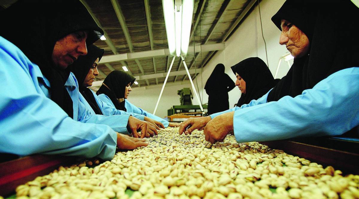 Usa e Israele ai ferri corti per il pistacchio iraniano