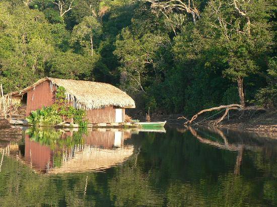 Sul web il docufilm che denuncia 
la deforestazione in Amazzonia