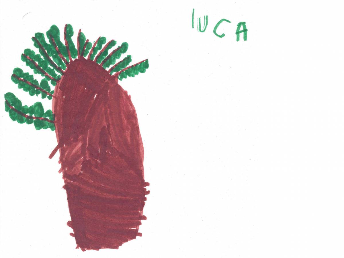 Un bimbo creativo di 4 anni e 5 mesi