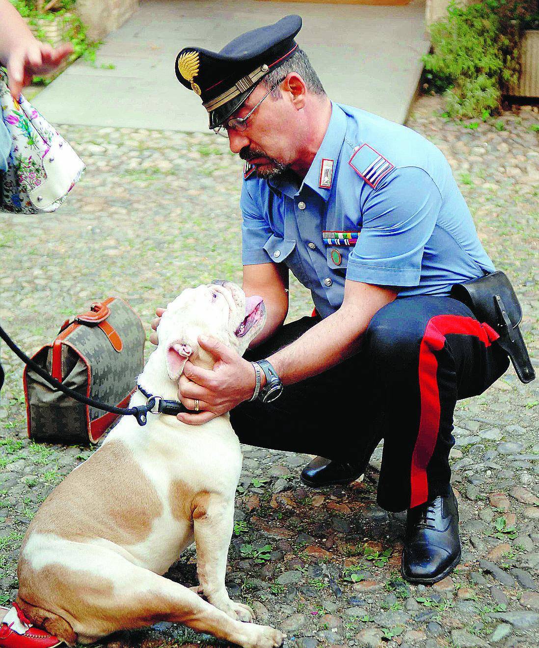 Trasforma la casa in un «lager» per cani