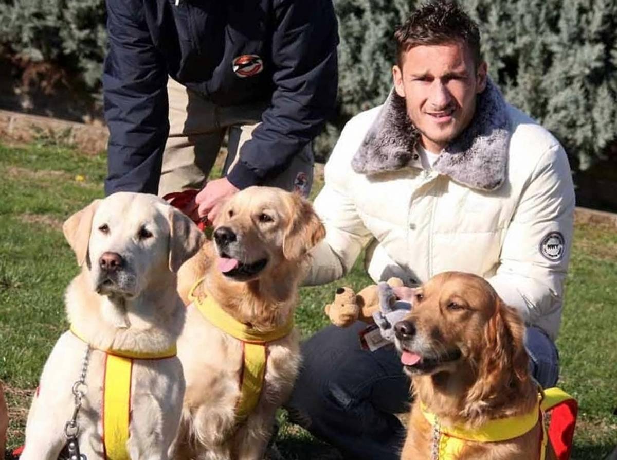 Il "cane bagnino" di Totti salva una ragazza a Ostia