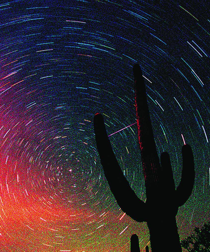 Giù le stelle, su i calici La notte di San Lorenzo fra sogni, gola e gusto