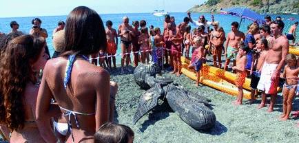 Misterioso «totem»  nel mare di  Bonassola