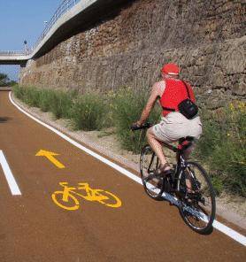 «Il Comune lasci pedalare i ciclisti nelle corsie dei bus»