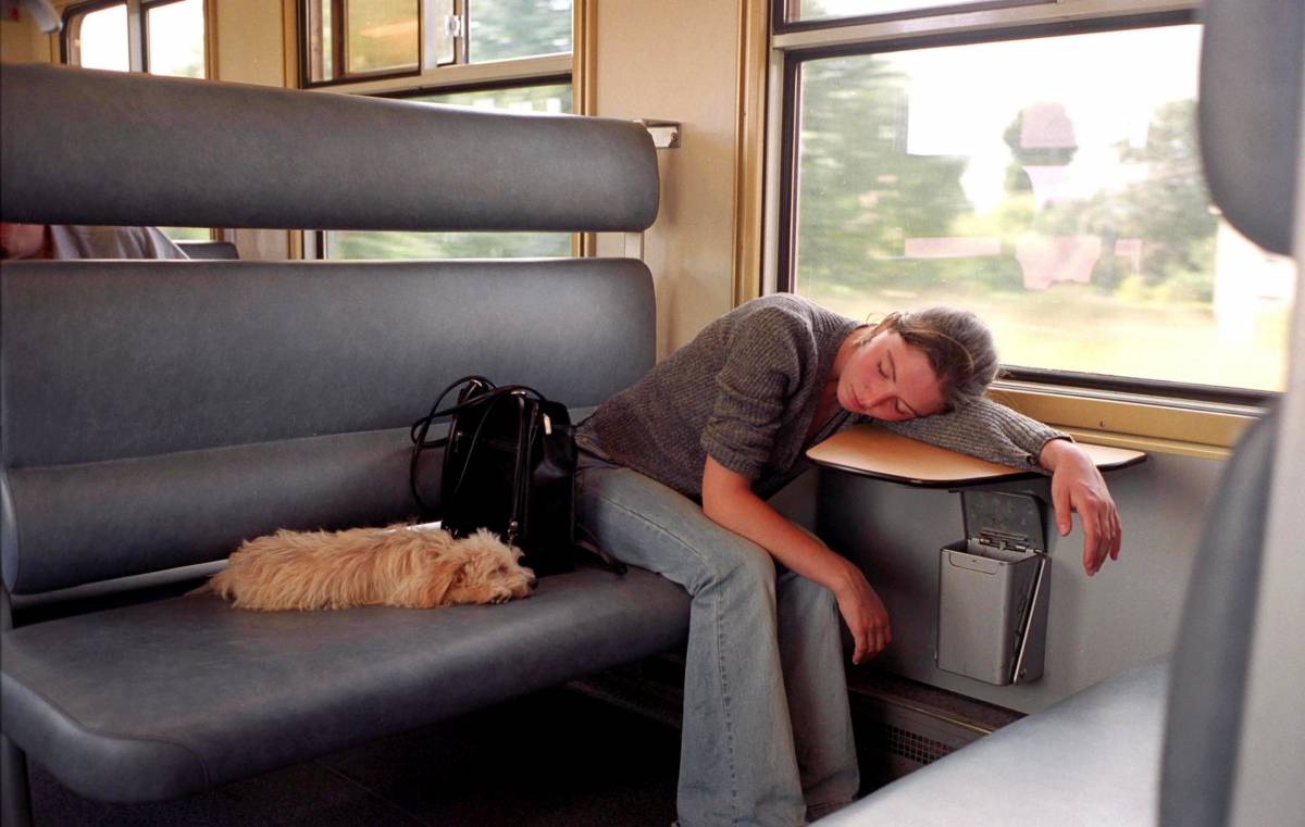 I cani possono tornare 
a viaggiare in treno