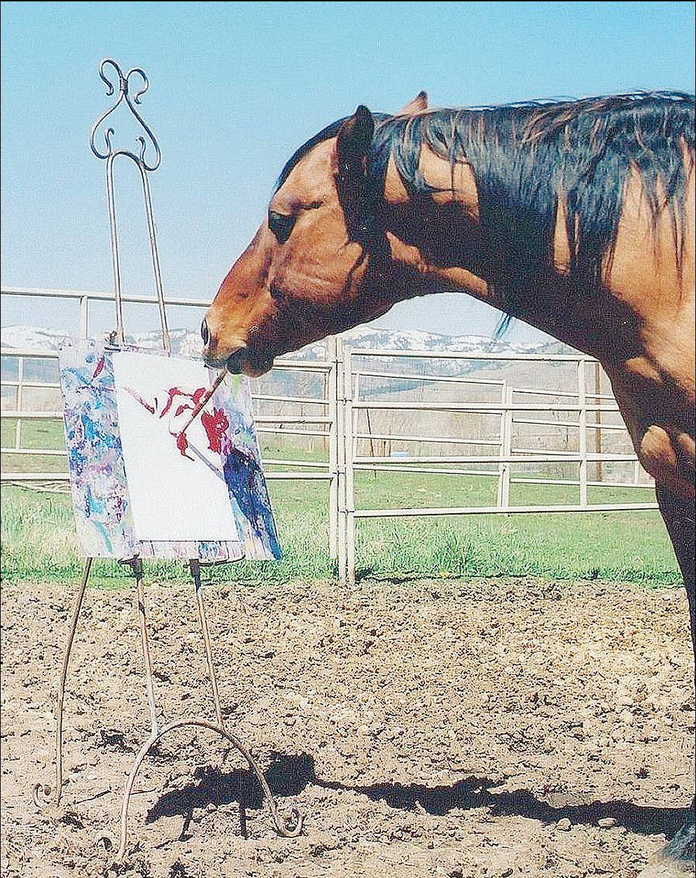 Cholla, il cavallo che dipinge 
meglio di un artista del pennello