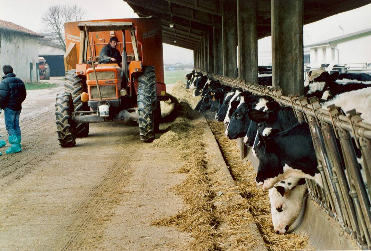 Quote latte, i produttori 
vessati dalle multe Ue