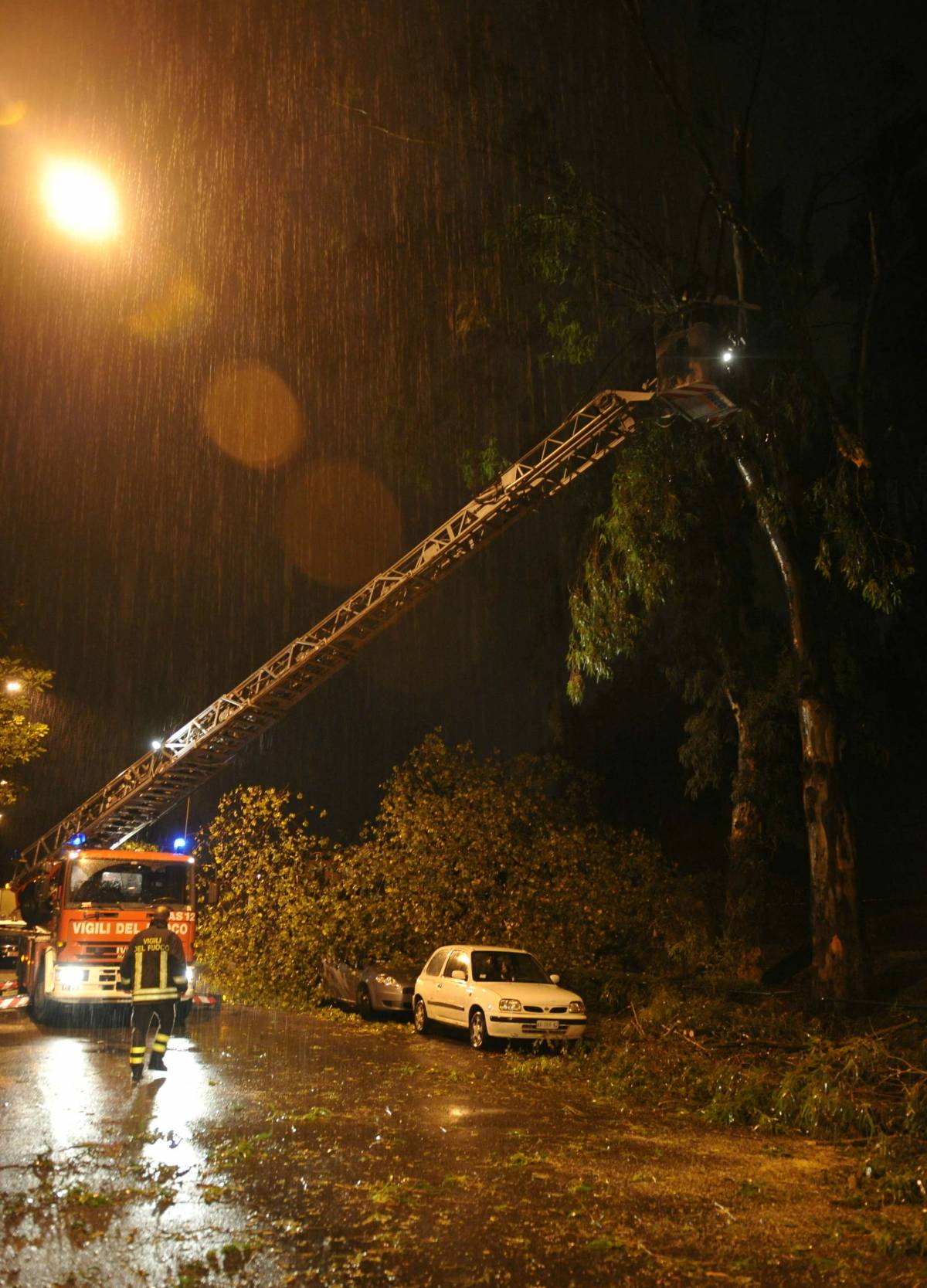 Maltempo, a Roma 13enne ucciso da un albero