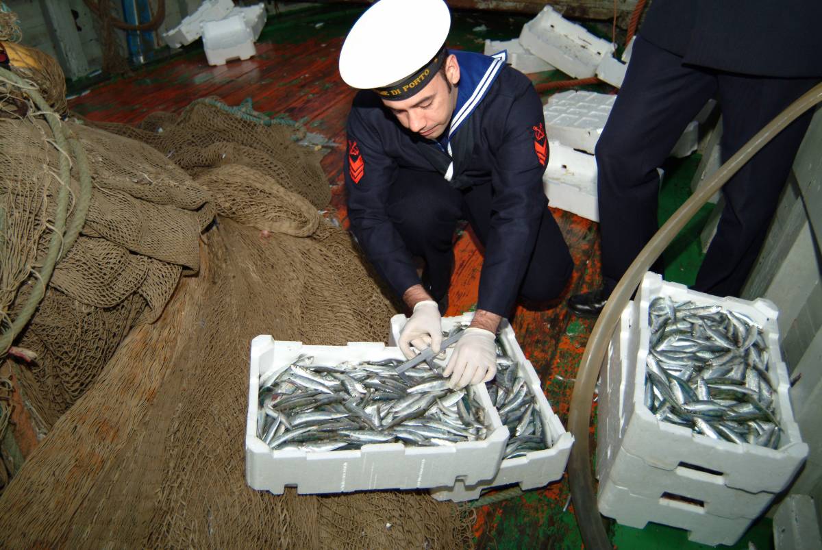 Operazione "Capitone" 
Sotto sequestro  
160 tonnellate di pesce
