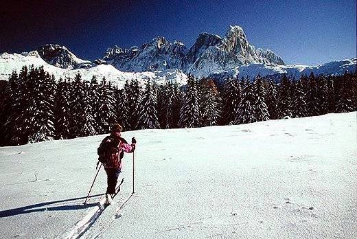 Trentino: scoprire la natura anche d'inverno