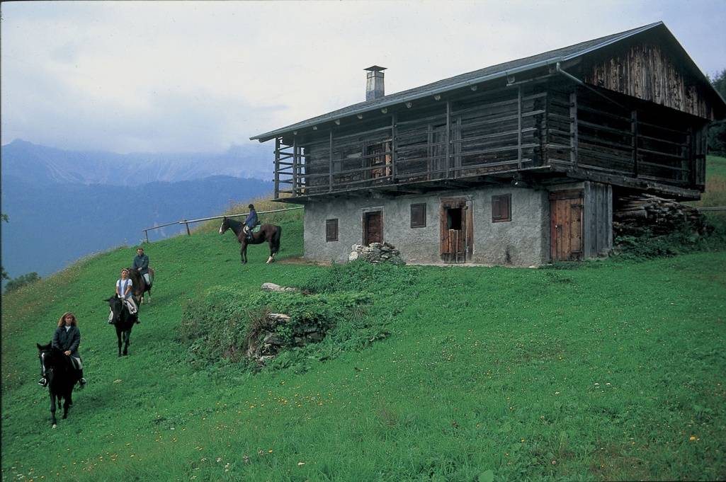 Ecco gli ultimi intellettuali: sveglia all’alba e poi in malga