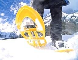 Ciaspolate e sleddog 
sull'Appennino bianco