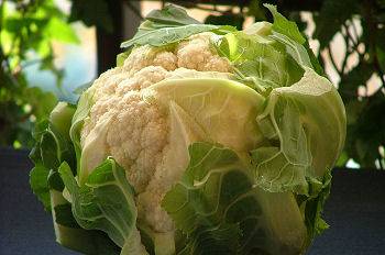 L'Inghilterra fa la guerra 
ai broccoli made in Italy