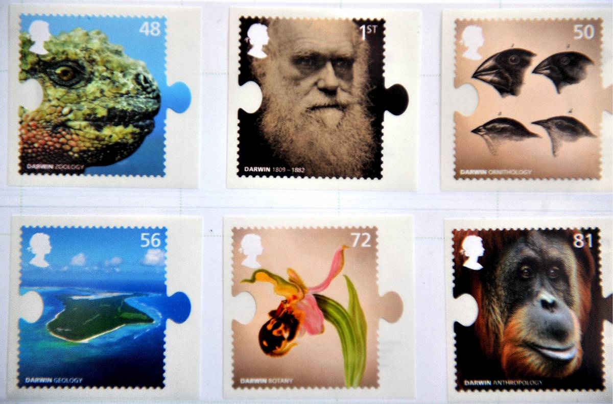 Celebrato in tutto il mondo il bicentenario di Darwin