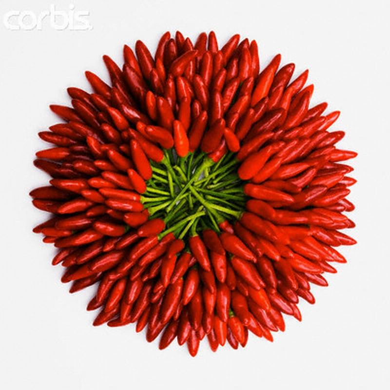 Il peperoncino aiuta a combattere l'obesità