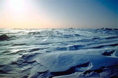 Siberia, scoperto tra i ghiacci il viagra antidiluviano