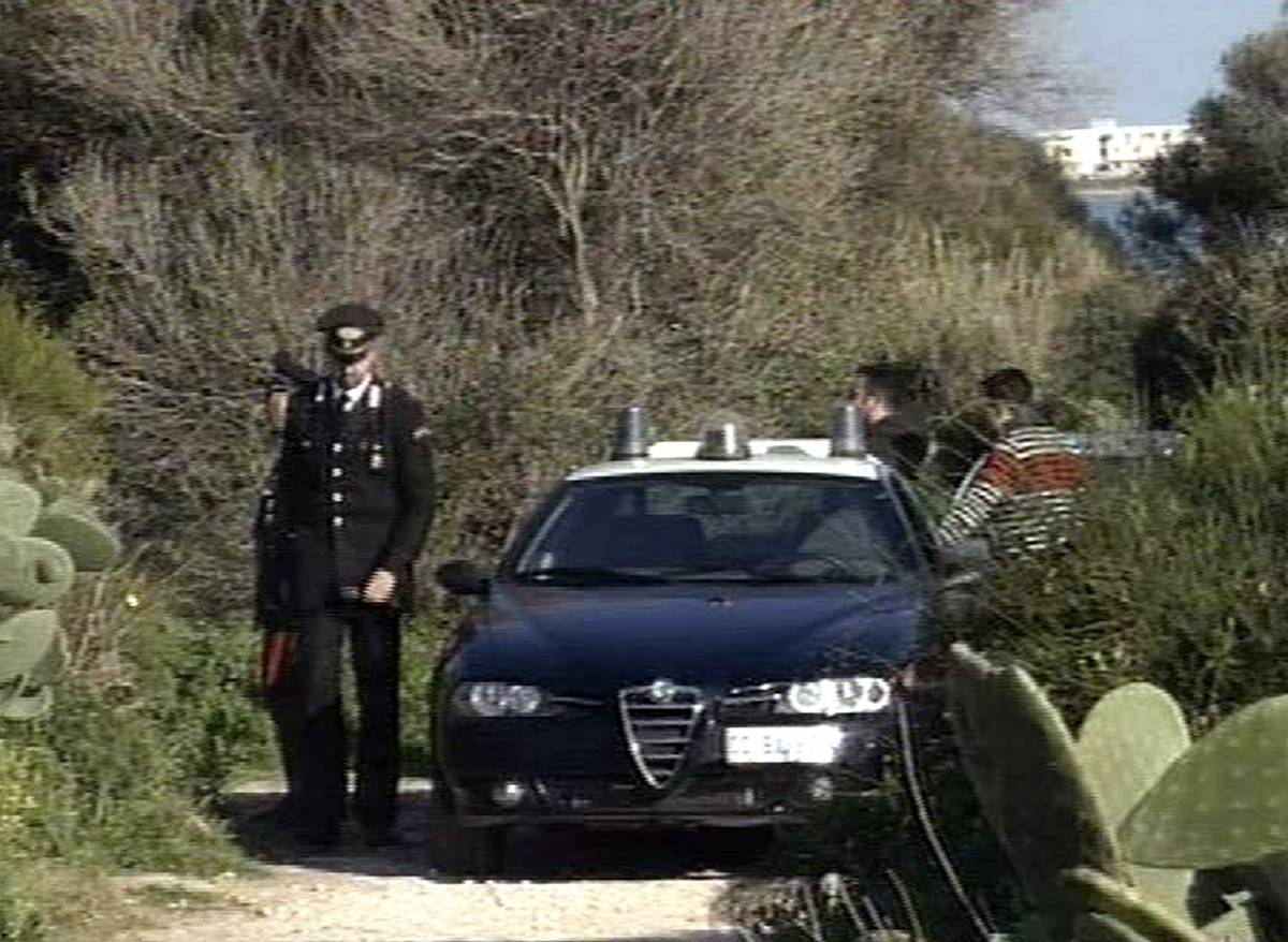 Modica, nuovo attacco dei randagi: grave turista