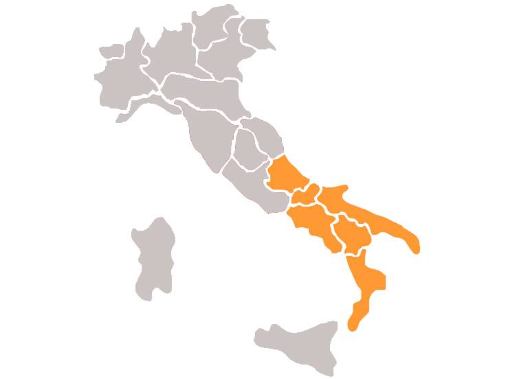 Lista dei candidati al Parlamento Europeo - Circoscrizione Italia meridionale