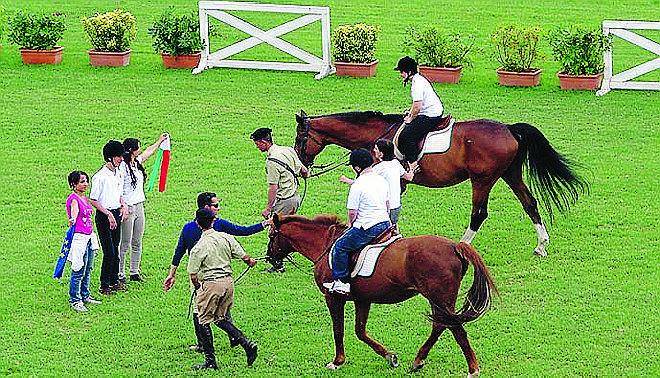 Ippoterapia Quando il cavallo aiuta il disabile