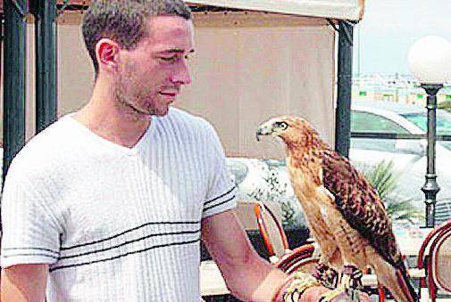 I piccioni disturbano i clienti del bar: e lui ingaggia un falco