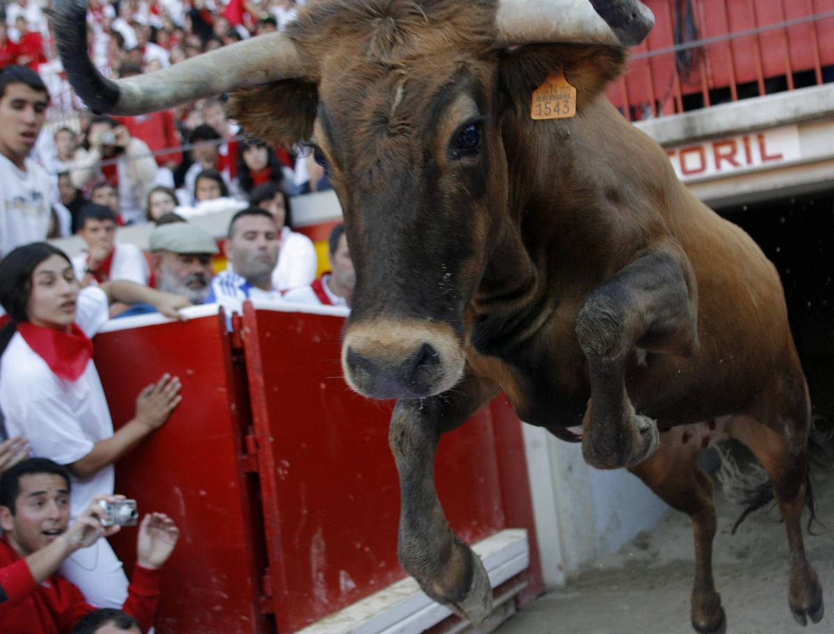 Pamplona, ultimo encierro veloce e indolore. Restano solo le polemiche