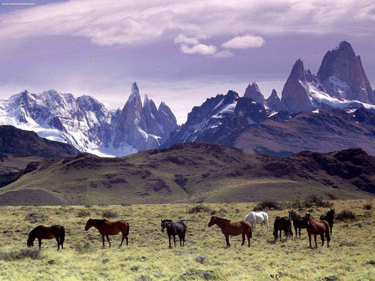 Viaggi letterari? Non basta la Patagonia