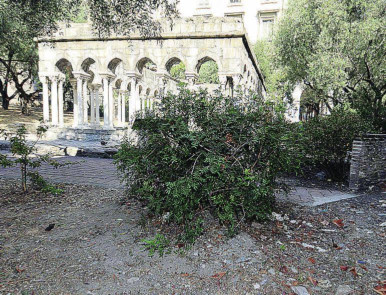 «I barboni fanno toeletta nel chiostro a due passi dalla Casa di Colombo»