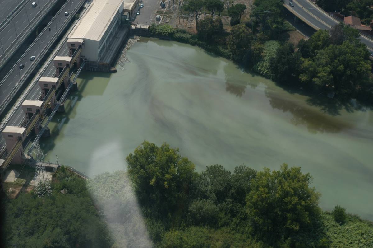 Il Tevere si tinge di scuro 
Carabinieri: è mucillagine