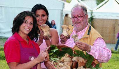 Funghi Anteprima con porcini e playmate