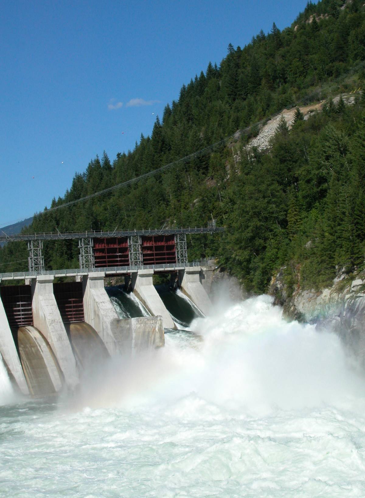Valtellina, premiato il Carroccio per la difesa dei corsi d’acqua