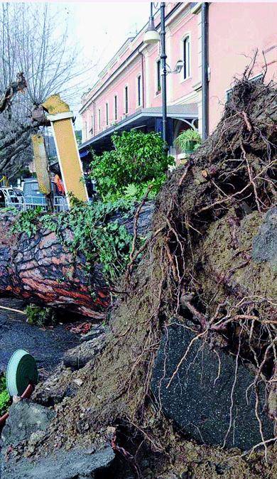 Il forte vento «chiude» anche i parchi di Nervi