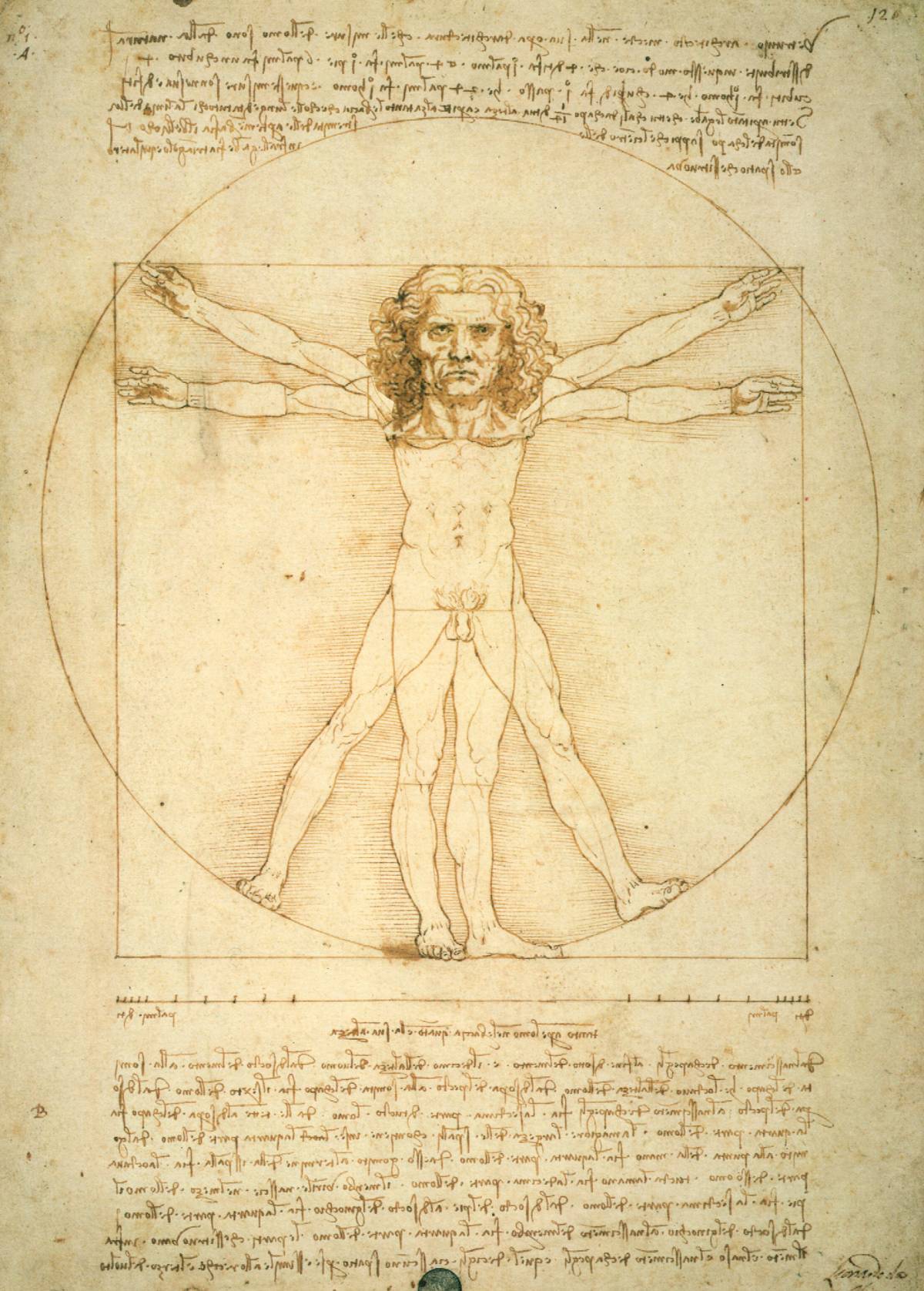 Scoperta opera "firmata" da Leonardo 
Grazie a un'impronta digitale