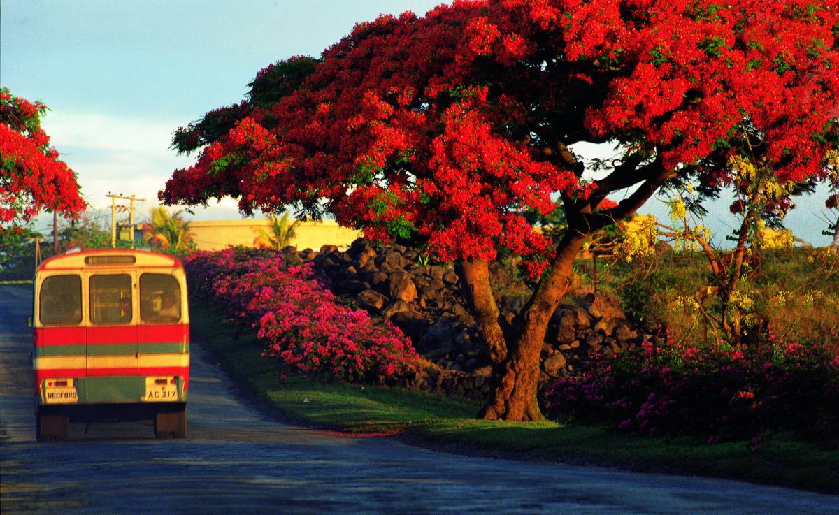 I Viaggi del Giornale 
Vi portiamo a Mauritius