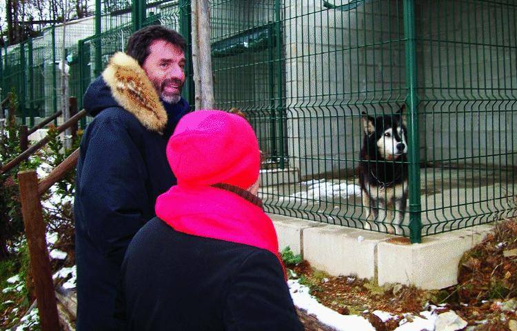 Biasotti soccorre i cani di Monte Contessa