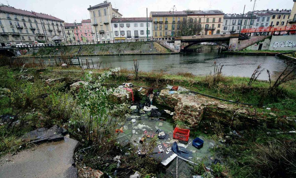 Piante e acqua: il sindaco risana la Darsena