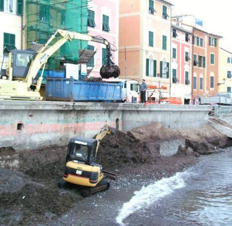 Sondaggio Scajola:  «Biasotti guida la corsa»