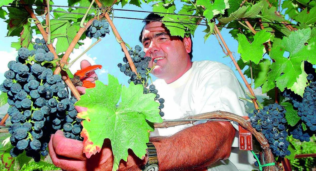 I pregiati vini della Liguria invadono Vinitaly