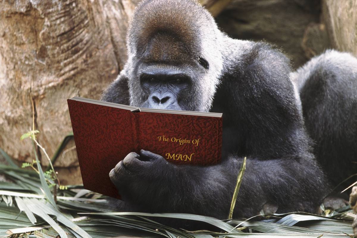 Darwin non aveva ragione. Lo dicono anche gli atei