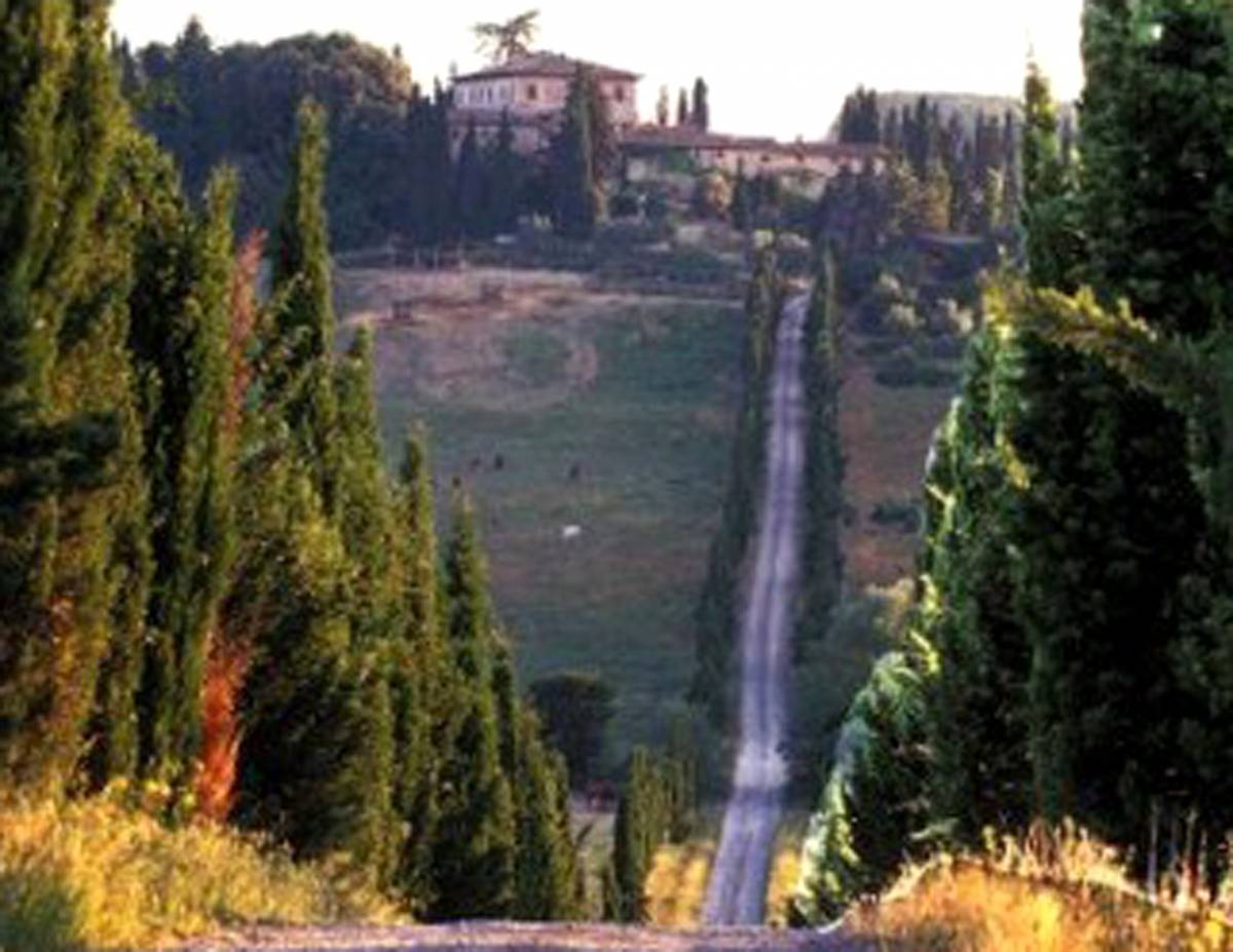 Berlusconi in missione a Siena 
Tratta per la tenuta "La Selva"