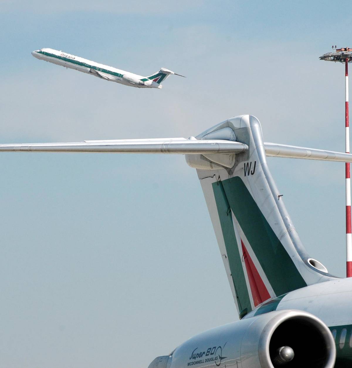 Linate, aereo investe lepre 
paura per i politici a bordo 
Il velivolo bloccato a terra