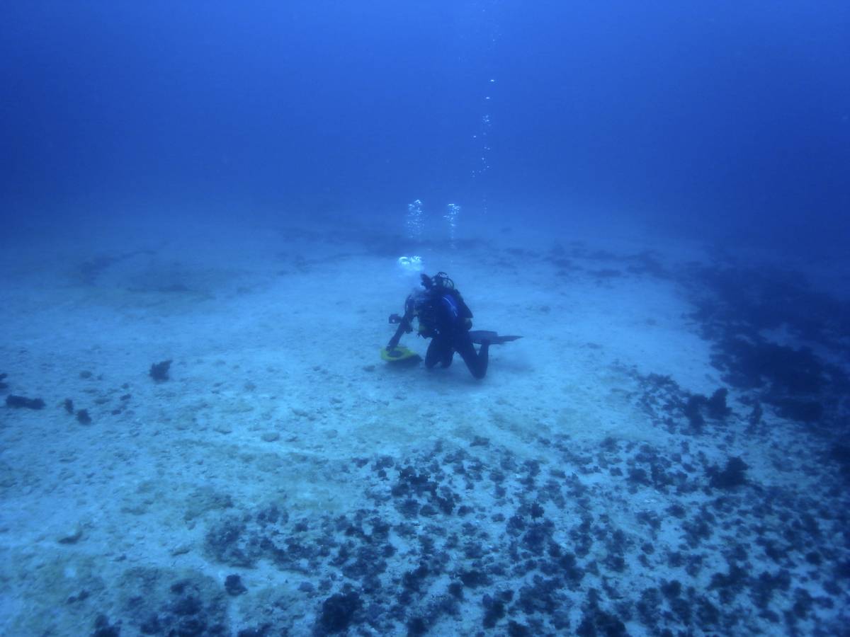 Manette al comandante cargo 
arenato sulla barriera corallina