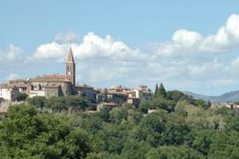 Dalla politica al vino, 
a Montecastrilli nasce 
il "rosso D'Alema"