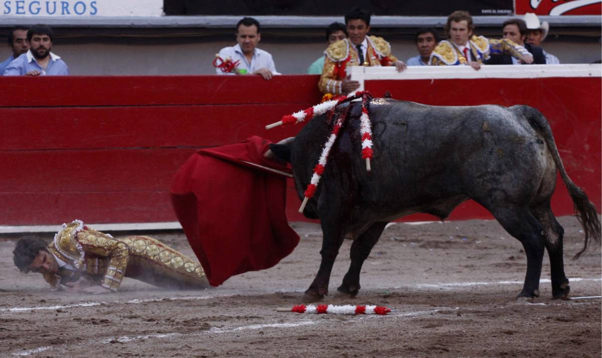 Messico, torero incornato: è grave