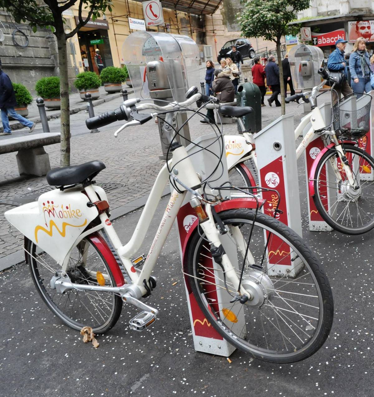 Undici chilometri tutti per la bicicletta La sfida di Genova