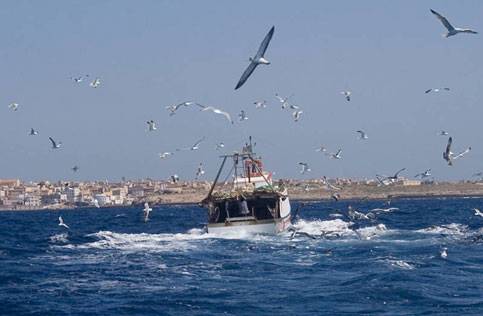 Libia, sequestrati tre motopesca