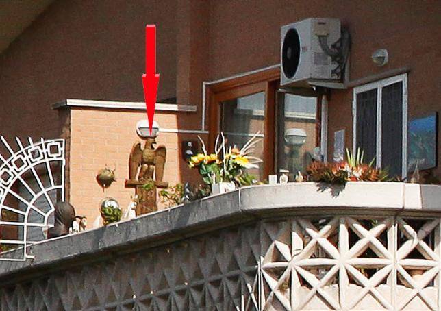 Quell'aquila sulla terrazza di Fini: ecco la foto