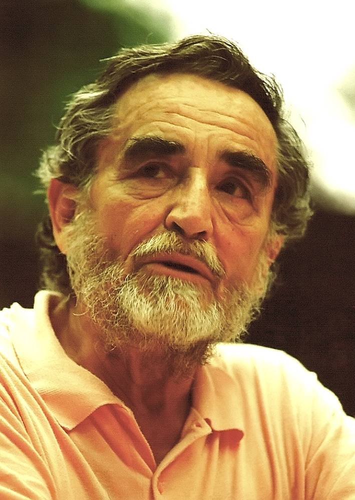 Venezia, "Vittorio incontra Gassman" 
Vita straordinaria di un gigante delicato