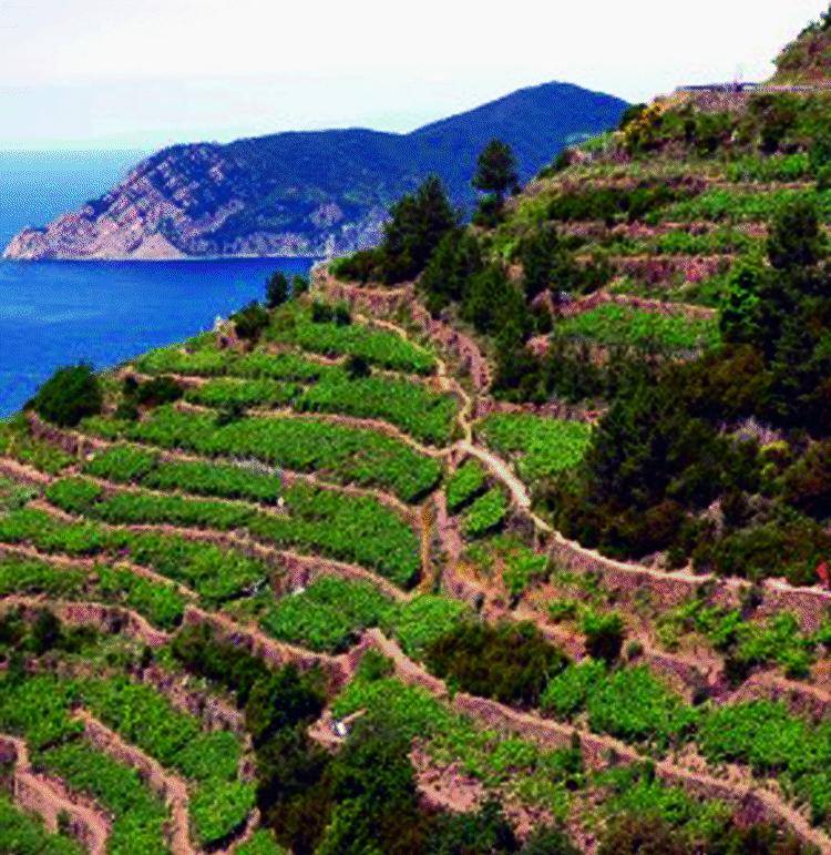 Cinque Terre, il business costruito sull’identità