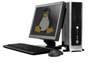 Linux Day, in tutta Italia 
E' la festa del pinguino